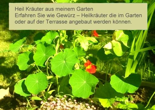 Gartenkraeuter-Text